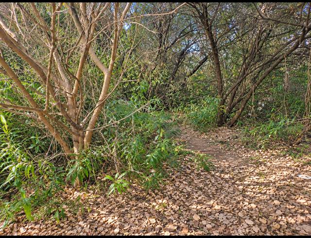 1,672M² VACANT LAND FOR SALE IN ROTHDENE